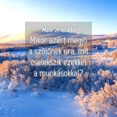 Picture 04 - Máté 21:40 KAR - Mikor azért megjõ a szõlõnek ura, mit - Bible Verse Picture
