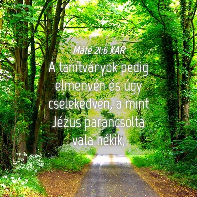 Picture 04 - Máté 21:6 KAR - A tanítványok pedig elmenvén és úgy - Bible Verse Picture