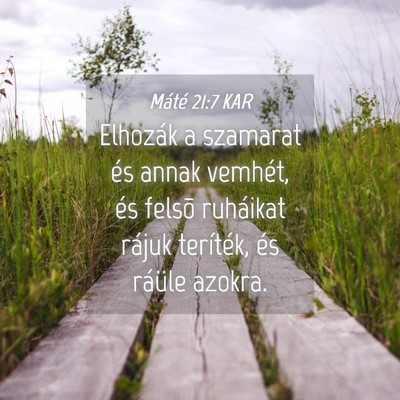 Picture 04 - Máté 21:7 KAR - Elhozák a szamarat és annak vemhét, és felsõ - Bible Verse Picture