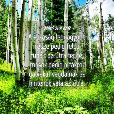 Picture 04 - Máté 21:8 KAR - A sokaság legnagyobb része pedig felsõ ruháit - Bible Verse Picture