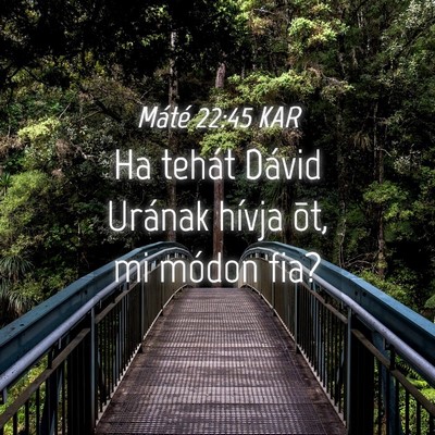 Picture 04 - Máté 22:45 KAR - Ha tehát Dávid Urának hívja õt, mi módon - Bible Verse Picture