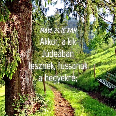 Picture 04 - Máté 24:16 KAR - Akkor, a kik Júdeában lesznek, fussanak a - Bible Verse Picture