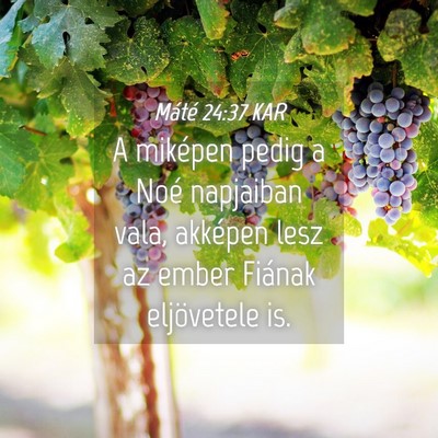 Picture 04 - Máté 24:37 KAR - A miképen pedig a Noé napjaiban vala, akképen - Bible Verse Picture