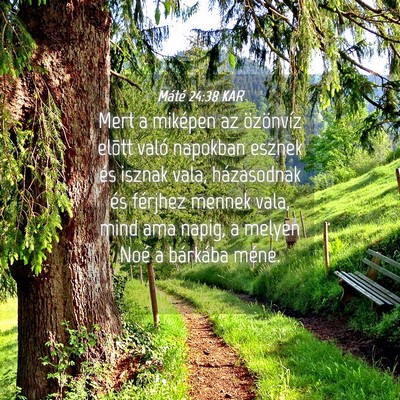Picture 04 - Máté 24:38 KAR - Mert a miképen az özönvíz elõtt való - Bible Verse Picture