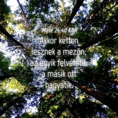 Picture 04 - Máté 24:40 KAR - Akkor ketten lesznek a mezõn; az egyik - Bible Verse Picture
