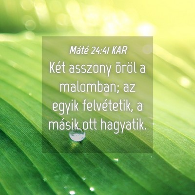 Picture 04 - Máté 24:41 KAR - Két asszony õröl a malomban; az egyik - Bible Verse Picture