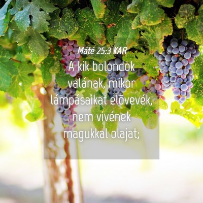 Picture 04 - Máté 25:3 KAR - A kik bolondok valának, mikor lámpásaikat - Bible Verse Picture
