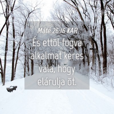 Picture 04 - Máté 26:16 KAR - És ettõl fogva alkalmat keres vala, hogy - Bible Verse Picture