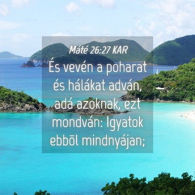 Picture 04 - Máté 26:27 KAR - És vevén a poharat és hálákat adván, adá - Bible Verse Picture