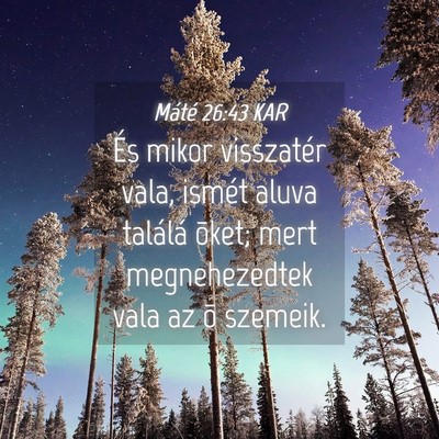 Picture 04 - Máté 26:43 KAR - És mikor visszatér vala, ismét aluva találá - Bible Verse Picture