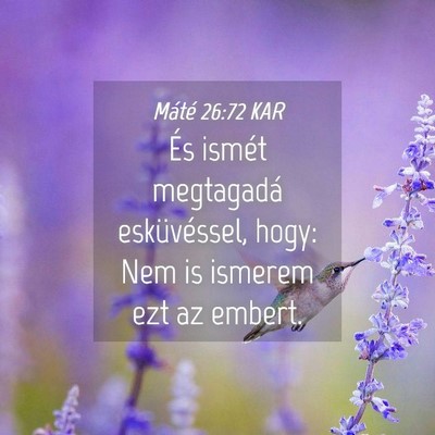 Picture 04 - Máté 26:72 KAR - És ismét megtagadá esküvéssel, hogy: Nem is - Bible Verse Picture