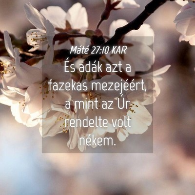 Picture 04 - Máté 27:10 KAR - És adák azt a fazekas mezejéért, a mint az - Bible Verse Picture
