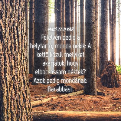 Picture 04 - Máté 27:21 KAR - Felelvén pedig a helytartó, monda nékik: A - Bible Verse Picture