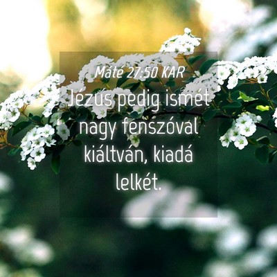 Picture 04 - Máté 27:50 KAR - Jézus pedig ismét nagy fenszóval kiáltván, - Bible Verse Picture