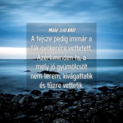Picture 04 - Máté 3:10 KAR - A fejsze pedig immár a fák gyökerére - Bible Verse Picture