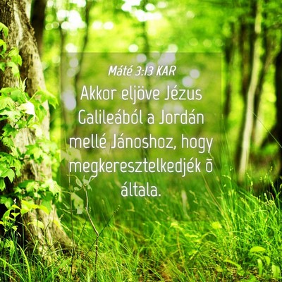 Picture 04 - Máté 3:13 KAR - Akkor eljöve Jézus Galileából a Jordán - Bible Verse Picture