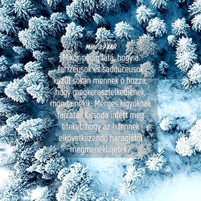 Picture 04 - Máté 3:7 KAR - Mikor pedig látá, hogy a farizeusok és - Bible Verse Picture