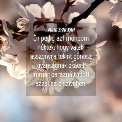 Picture 04 - Máté 5:28 KAR - Én pedig azt mondom néktek, hogy valaki - Bible Verse Picture
