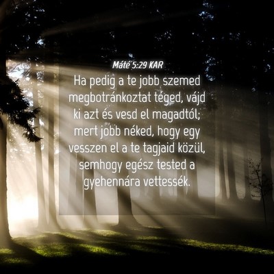 Picture 04 - Máté 5:29 KAR - Ha pedig a te jobb szemed megbotránkoztat - Bible Verse Picture