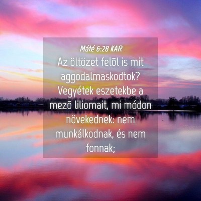 Picture 04 - Máté 6:28 KAR - Az öltözet felõl is mit aggodalmaskodtok? - Bible Verse Picture