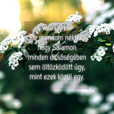 Picture 04 - Máté 6:29 KAR - De mondom néktek, hogy Salamon minden - Bible Verse Picture