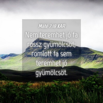 Picture 04 - Máté 7:18 KAR - Nem teremhet jó fa rossz gyümölcsöt; romlott - Bible Verse Picture