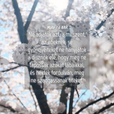 Picture 04 - Máté 7:6 KAR - Ne adjátok azt, a mi szent, az ebeknek, se - Bible Verse Picture