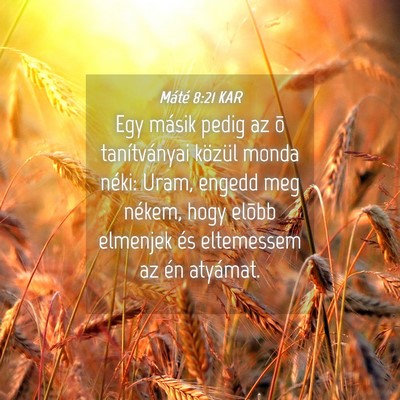 Picture 04 - Máté 8:21 KAR - Egy másik pedig az õ tanítványai közül - Bible Verse Picture