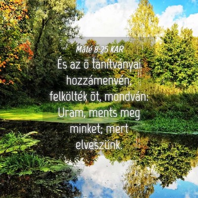 Picture 04 - Máté 8:25 KAR - És az õ tanítványai hozzámenvén, - Bible Verse Picture