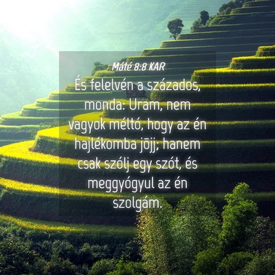 Picture 04 - Máté 8:8 KAR - És felelvén a százados, monda: Uram, nem - Bible Verse Picture