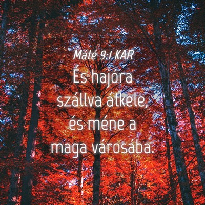 Picture 04 - Máté 9:1 KAR - És hajóra szállva átkele, és méne a maga - Bible Verse Picture