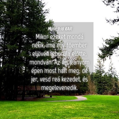 Picture 04 - Máté 9:18 KAR - Mikor ezeket mondá nékik, ímé egy fõember - Bible Verse Picture