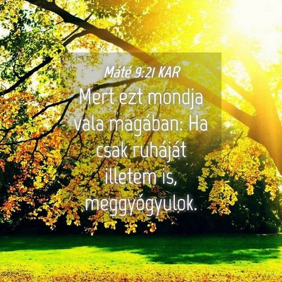 Picture 04 - Máté 9:21 KAR - Mert ezt mondja vala magában: Ha csak ruháját - Bible Verse Picture