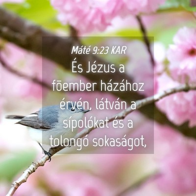 Picture 04 - Máté 9:23 KAR - És Jézus a fõember házához érvén, látván - Bible Verse Picture