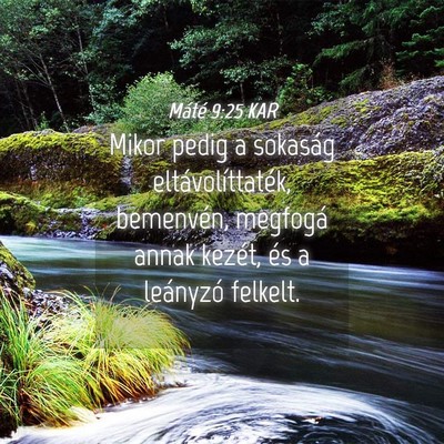 Picture 04 - Máté 9:25 KAR - Mikor pedig a sokaság eltávolíttaték, - Bible Verse Picture