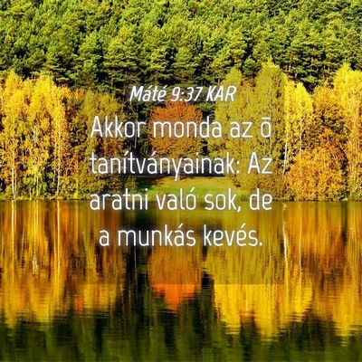 Picture 04 - Máté 9:37 KAR - Akkor monda az õ tanítványainak: Az aratni - Bible Verse Picture