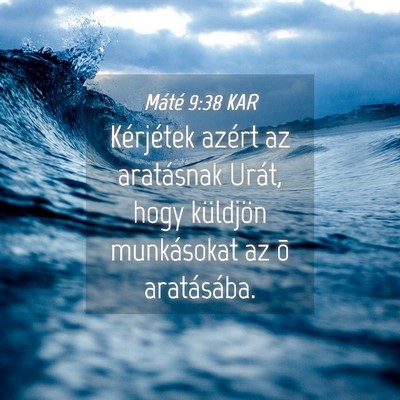 Picture 04 - Máté 9:38 KAR - Kérjétek azért az aratásnak Urát, hogy - Bible Verse Picture