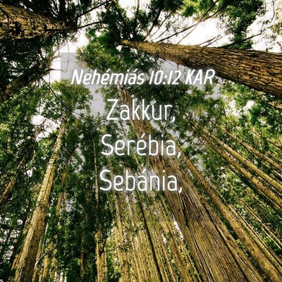 Picture 04 - Nehémiás 10:12 KAR - Zakkur, Serébia, - Bible Verse Picture