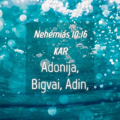 Picture 04 - Nehémiás 10:16 KAR - Adonija, Bigvai, - Bible Verse Picture