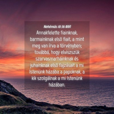 Picture 04 - Nehémiás 10:36 KAR - Annakfelette fiainknak, barmainknak elsõ fiait, - Bible Verse Picture