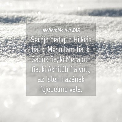Picture 04 - Nehémiás 11:11 KAR - Serája pedig, a Hilkiás fia, ki Mesullám fia, - Bible Verse Picture