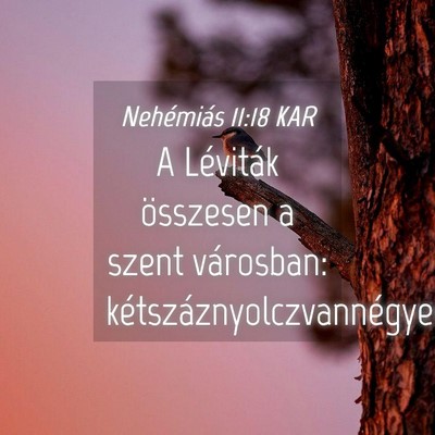 Picture 04 - Nehémiás 11:18 KAR - A Léviták összesen a szent városban: - Bible Verse Picture