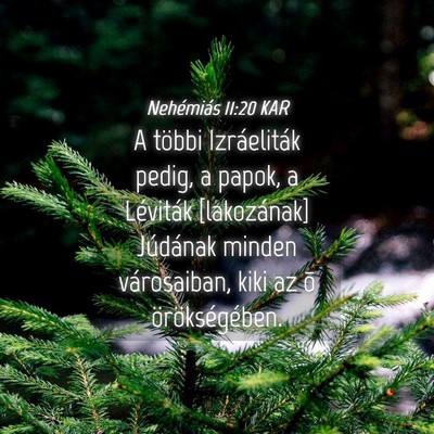 Picture 04 - Nehémiás 11:20 KAR - A többi Izráeliták pedig, a papok, a Léviták - Bible Verse Picture