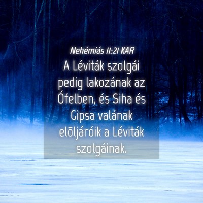 Picture 04 - Nehémiás 11:21 KAR - A Léviták szolgái pedig lakozának az - Bible Verse Picture