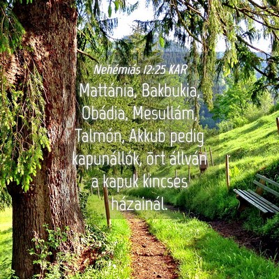 Picture 04 - Nehémiás 12:25 KAR - Mattánia, Bakbukia, Obádia, Mesullám, Talmón, - Bible Verse Picture