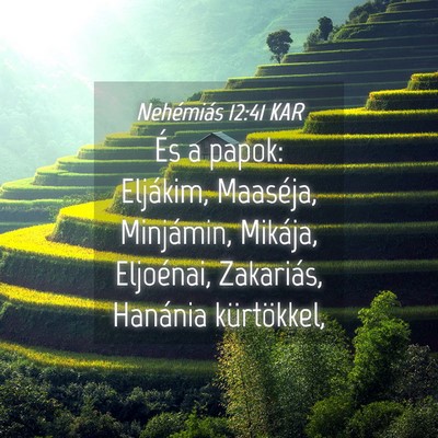 Picture 04 - Nehémiás 12:41 KAR - És a papok: Eljákim, Maaséja, Minjámin, - Bible Verse Picture