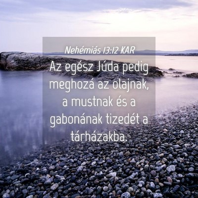Picture 04 - Nehémiás 13:12 KAR - Az egész Júda pedig meghozá az olajnak, a - Bible Verse Picture