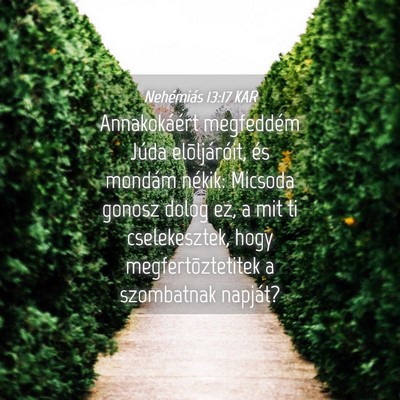 Picture 04 - Nehémiás 13:17 KAR - Annakokáért megfeddém Júda elõljáróit, és - Bible Verse Picture