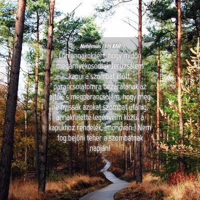 Picture 04 - Nehémiás 13:19 KAR - Lõn annakokáért, hogy midõn - Bible Verse Picture
