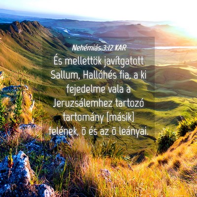Picture 04 - Nehémiás 3:12 KAR - És mellettök javítgatott Sallum, Hallóhés - Bible Verse Picture